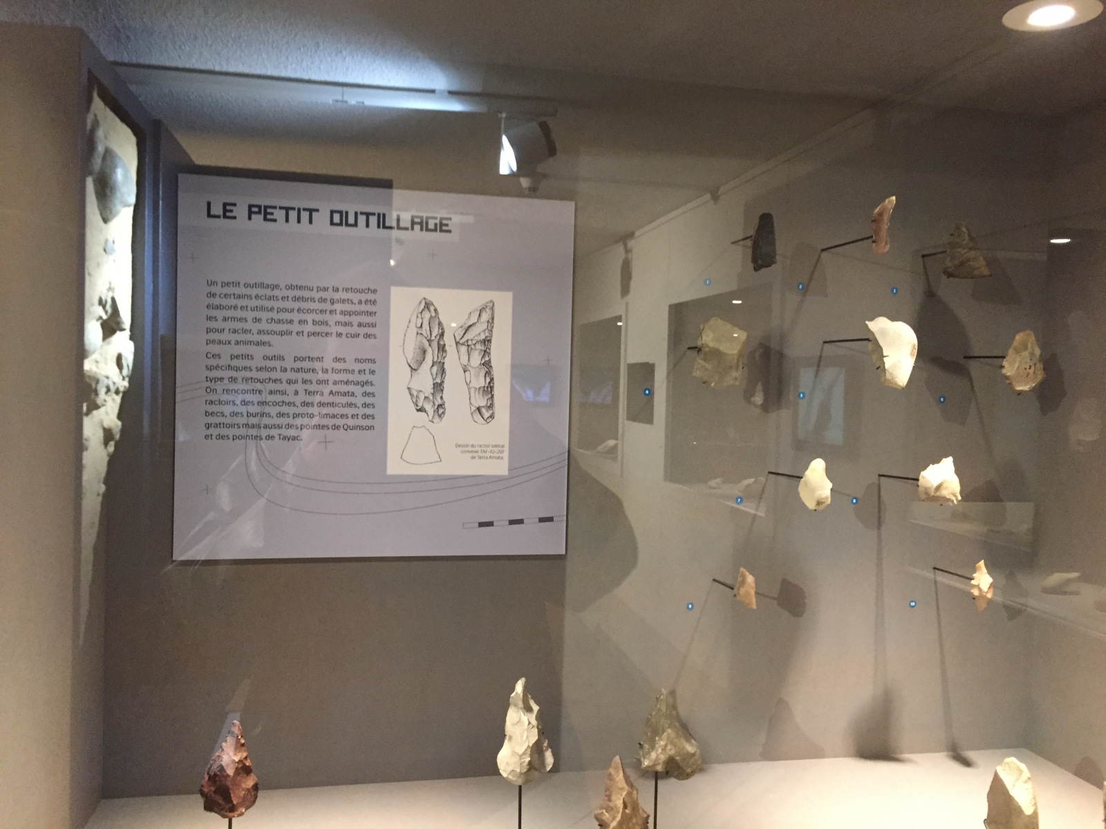 Visite du musée Terra Amata à Nice