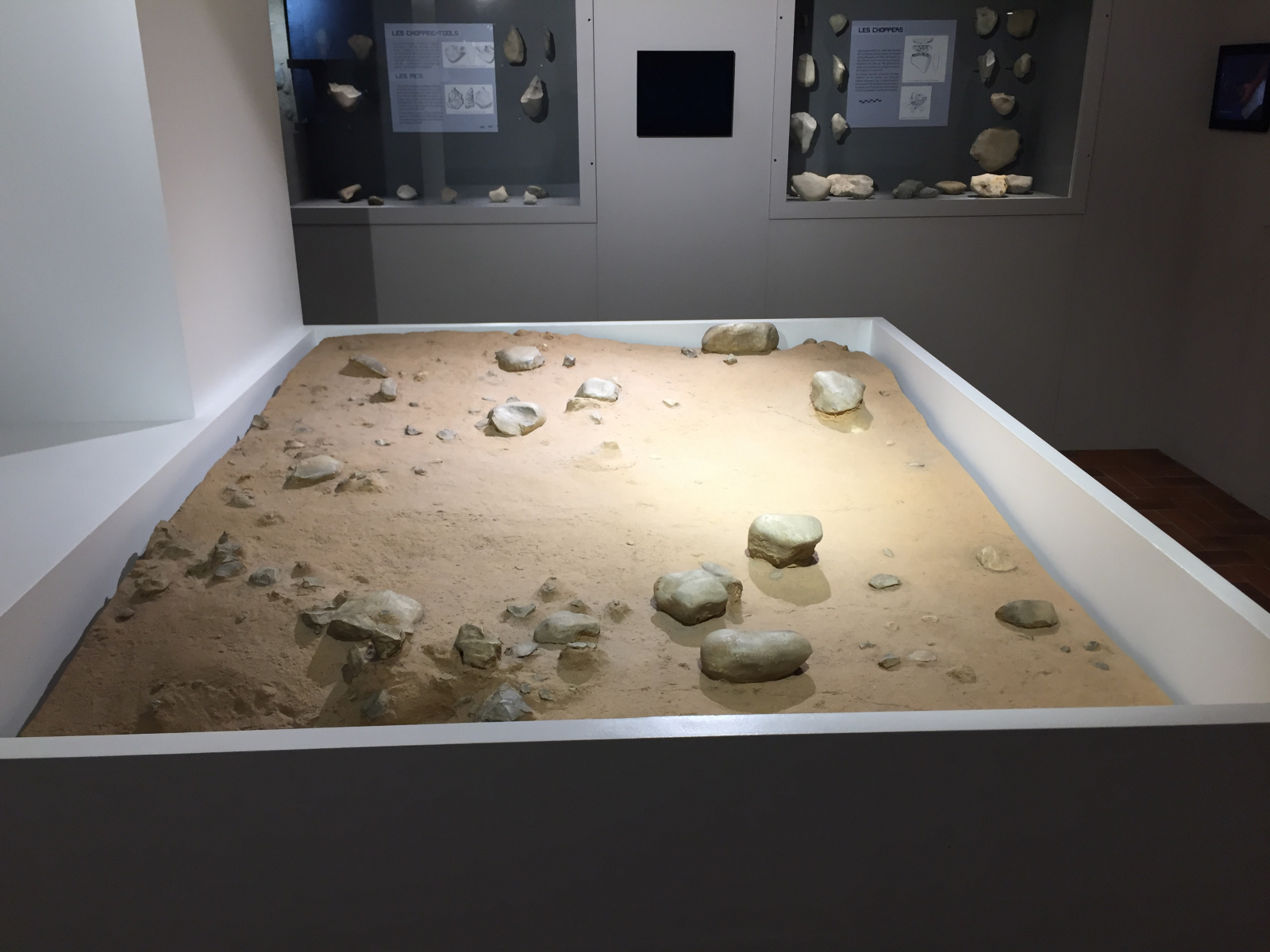 Visite du musée Terra Amata à Nice