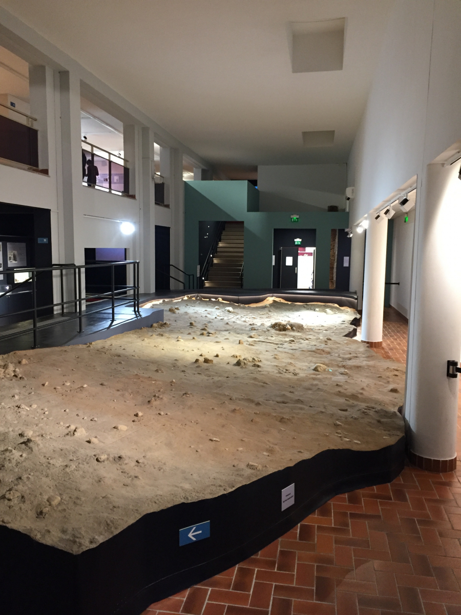Visite du musée Terra Amata à Nice