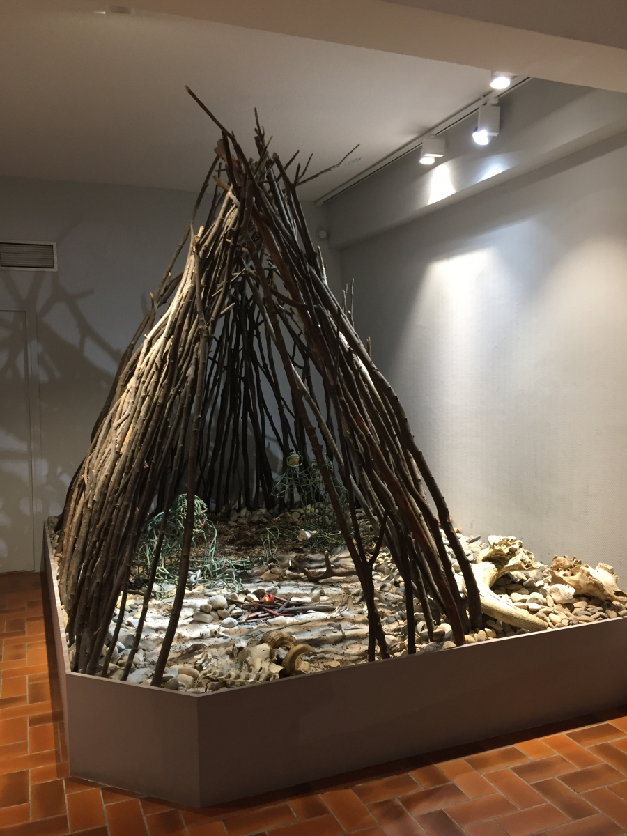 Visite du musée Terra Amata à Nice