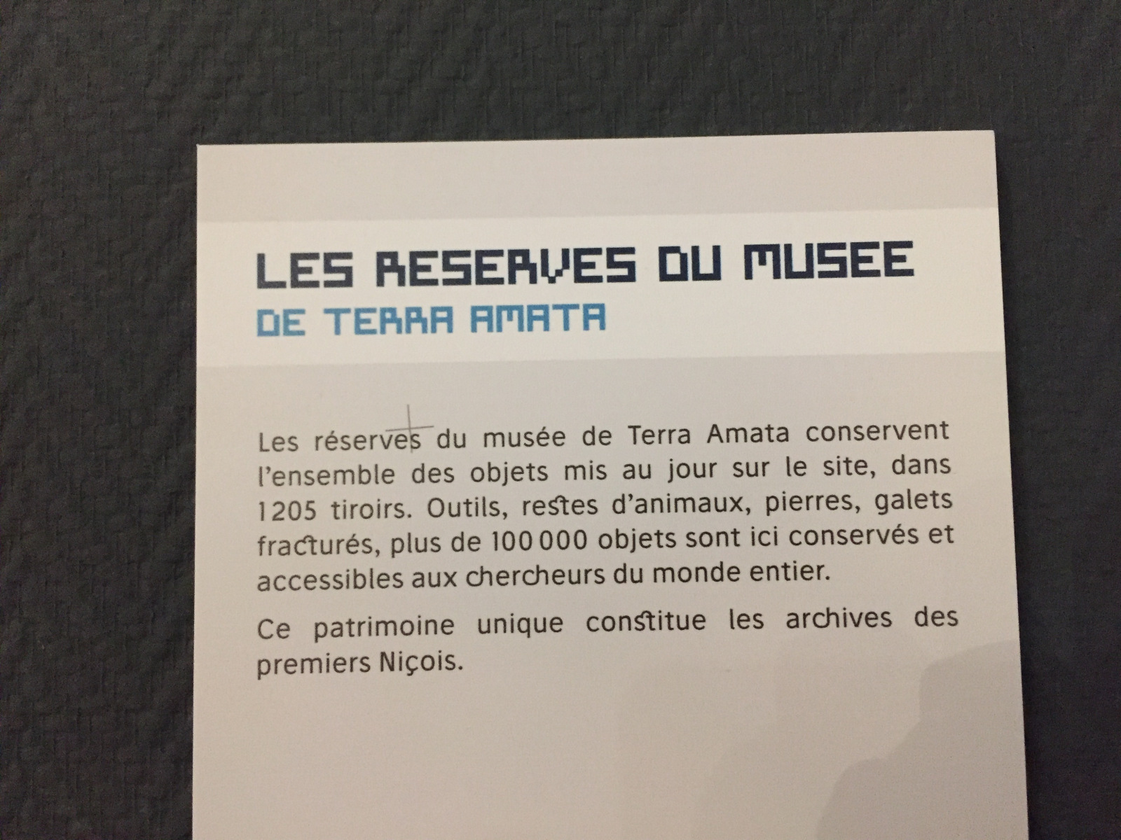 Visite du musée Terra Amata à Nice