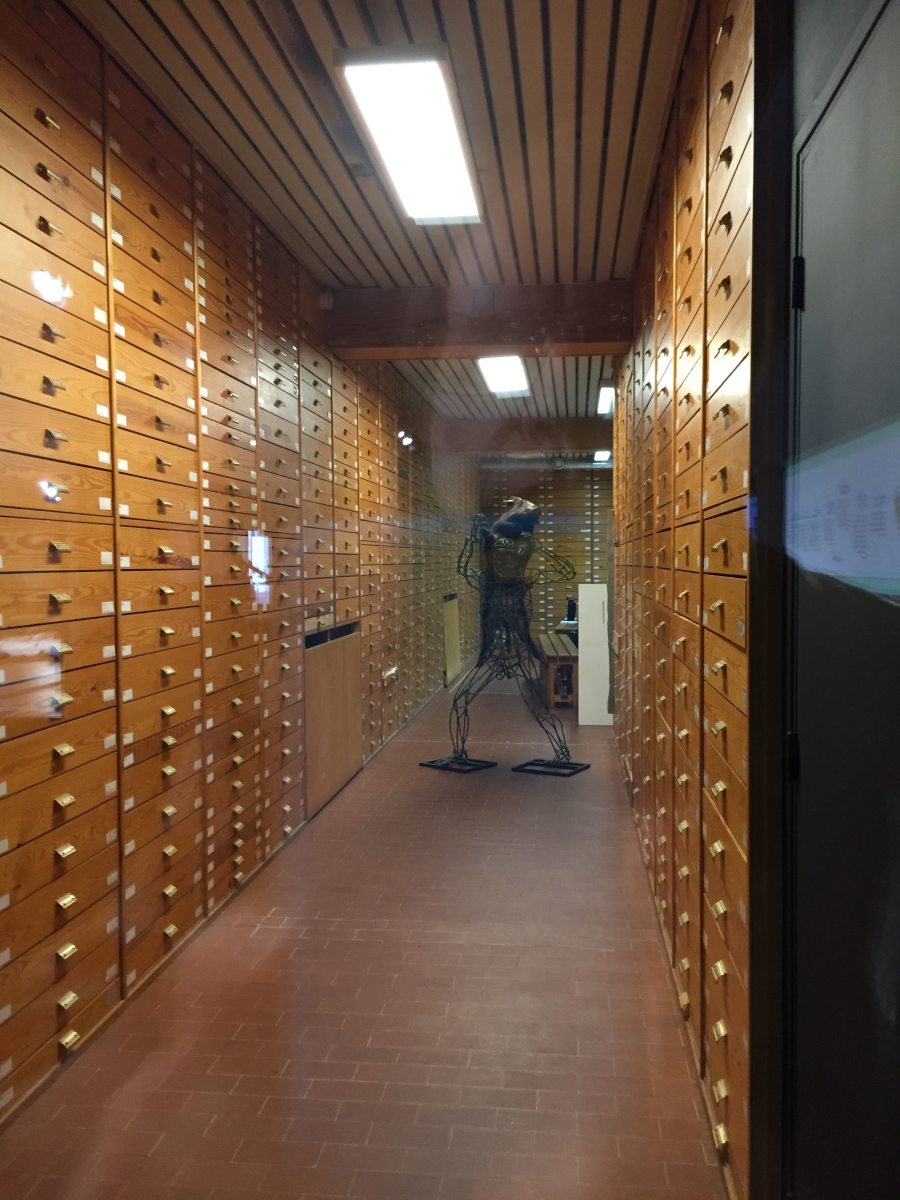 Visite du musée Terra Amata à Nice