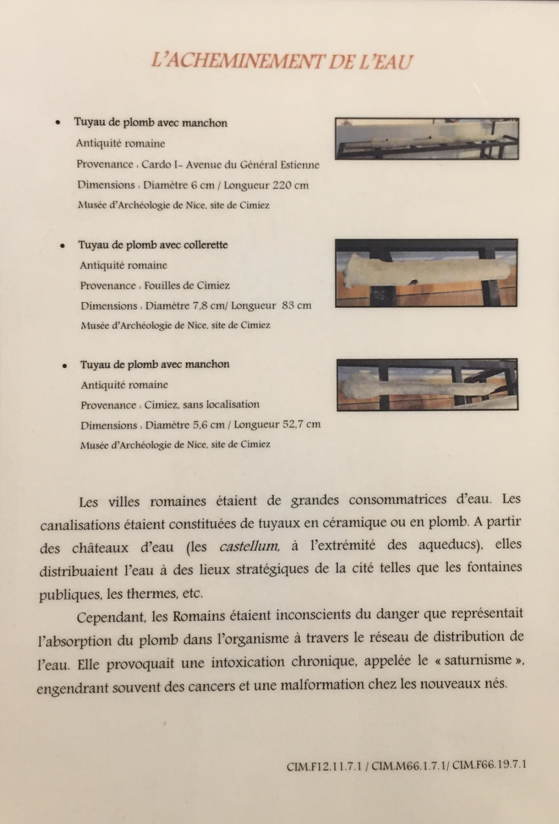 Visite du musée archéologique de Nice