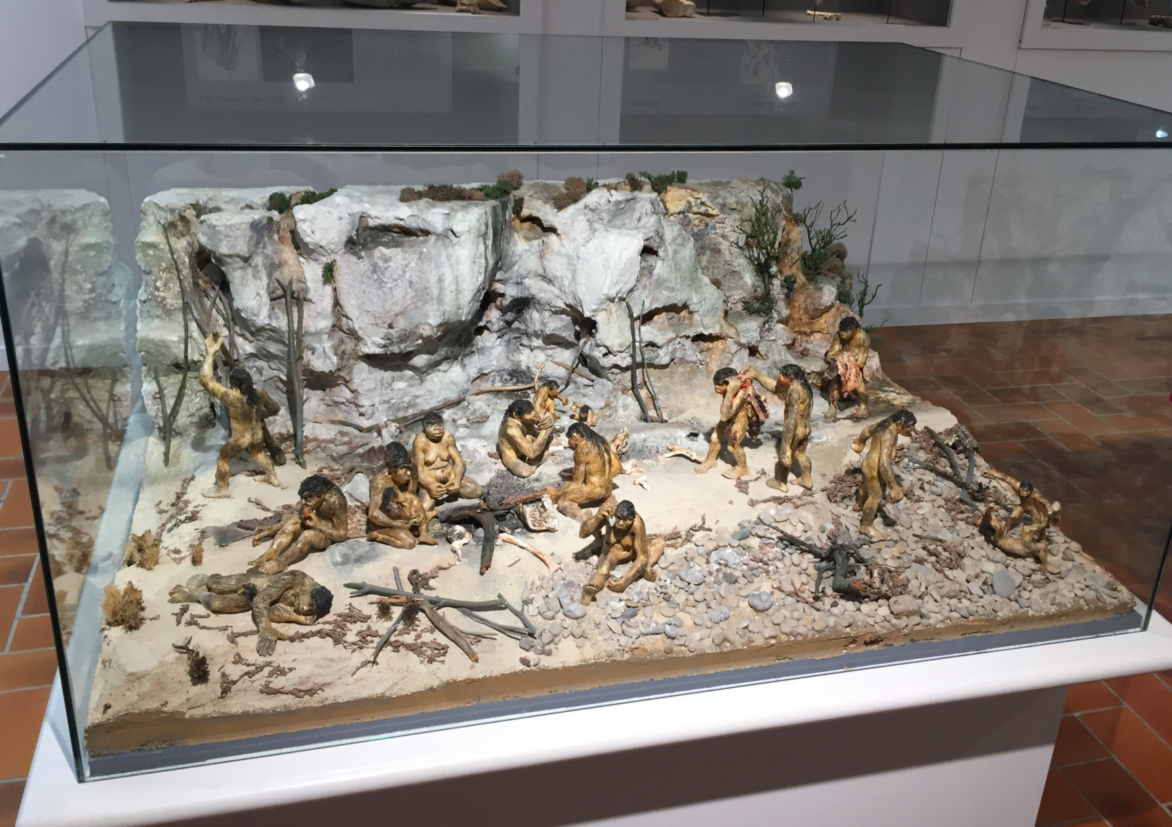Visite du musée Terra Amata à Nice