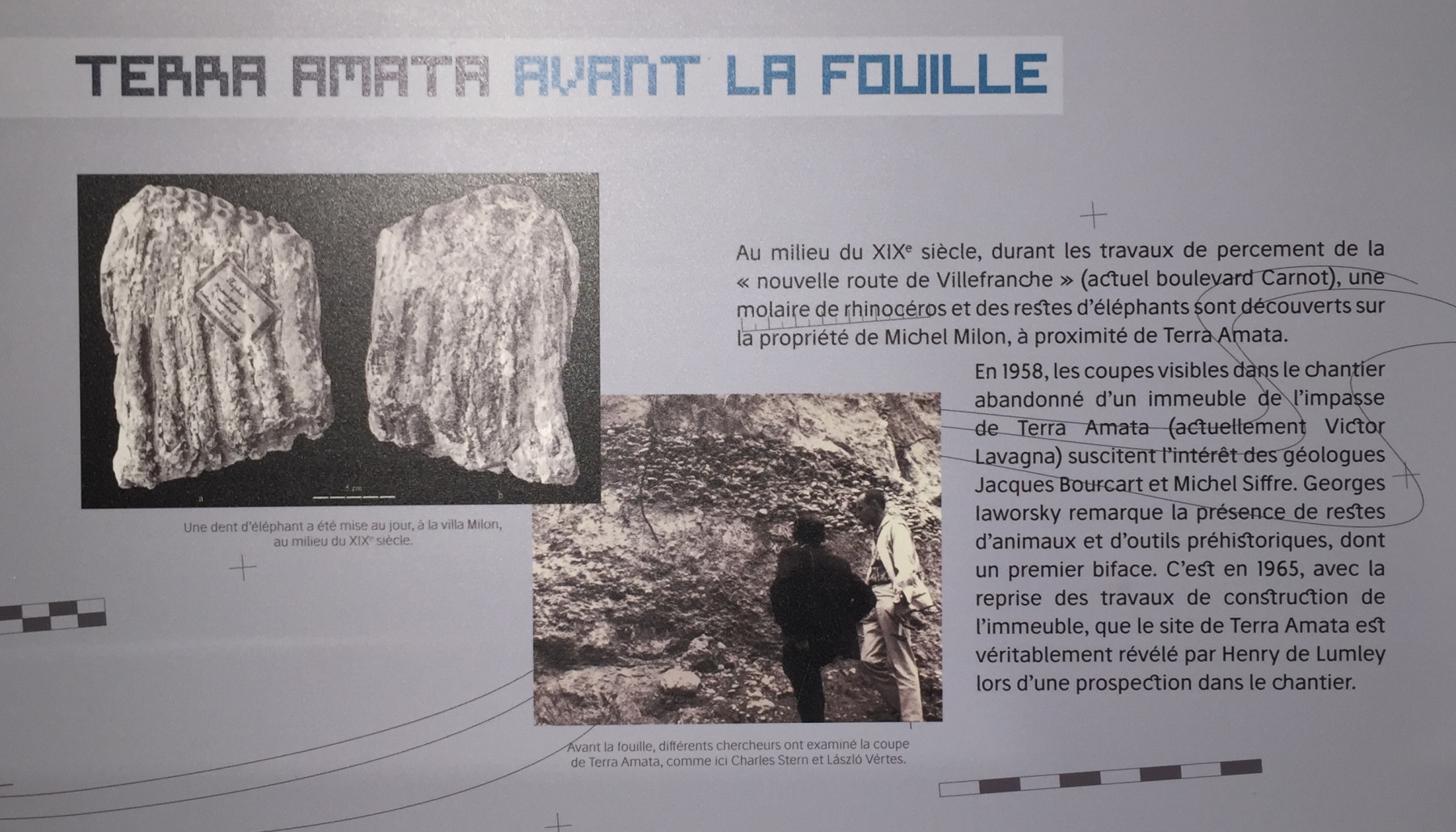 Visite du musée Terra Amata à Nice