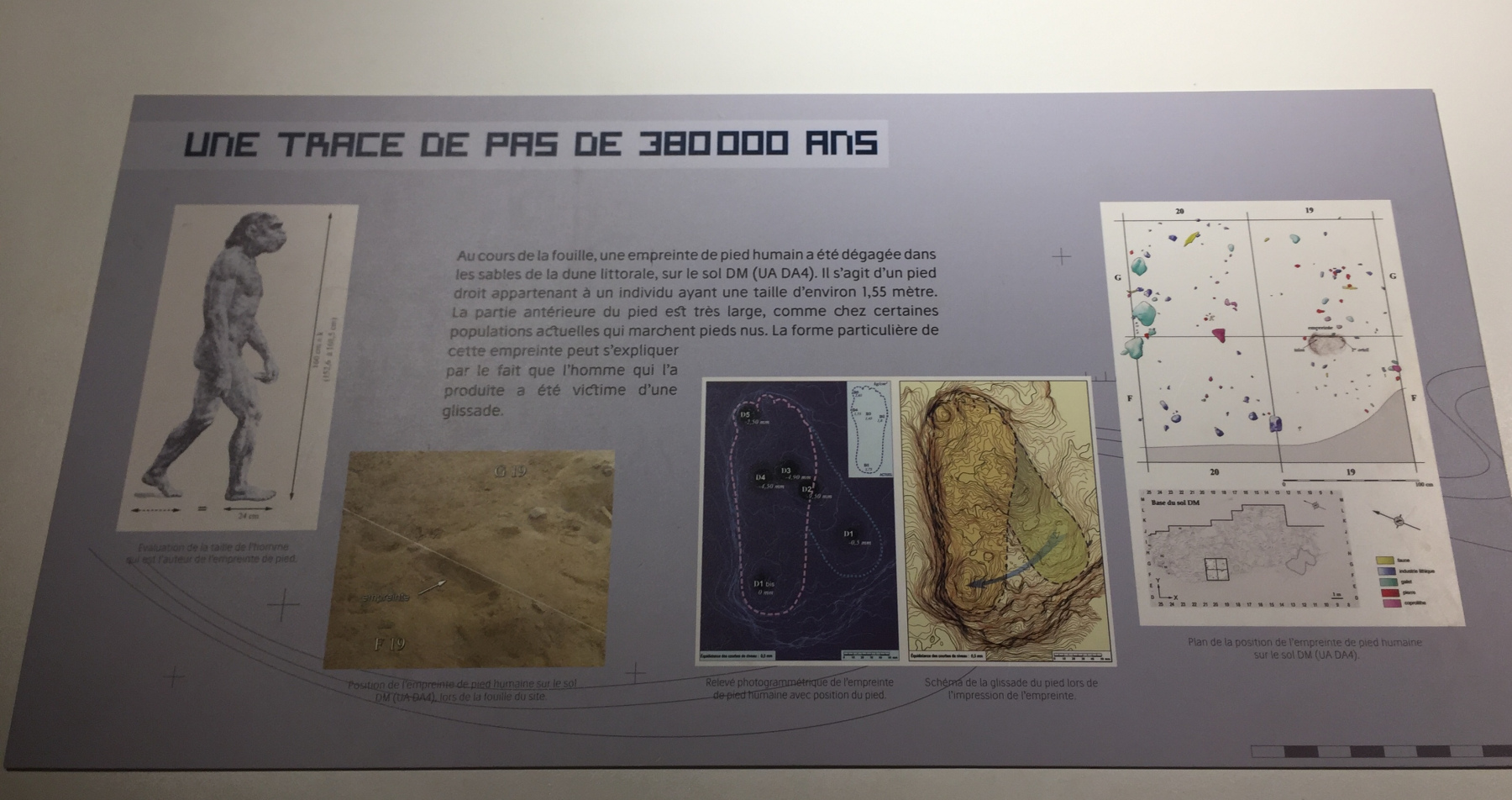 Visite du musée Terra Amata à Nice