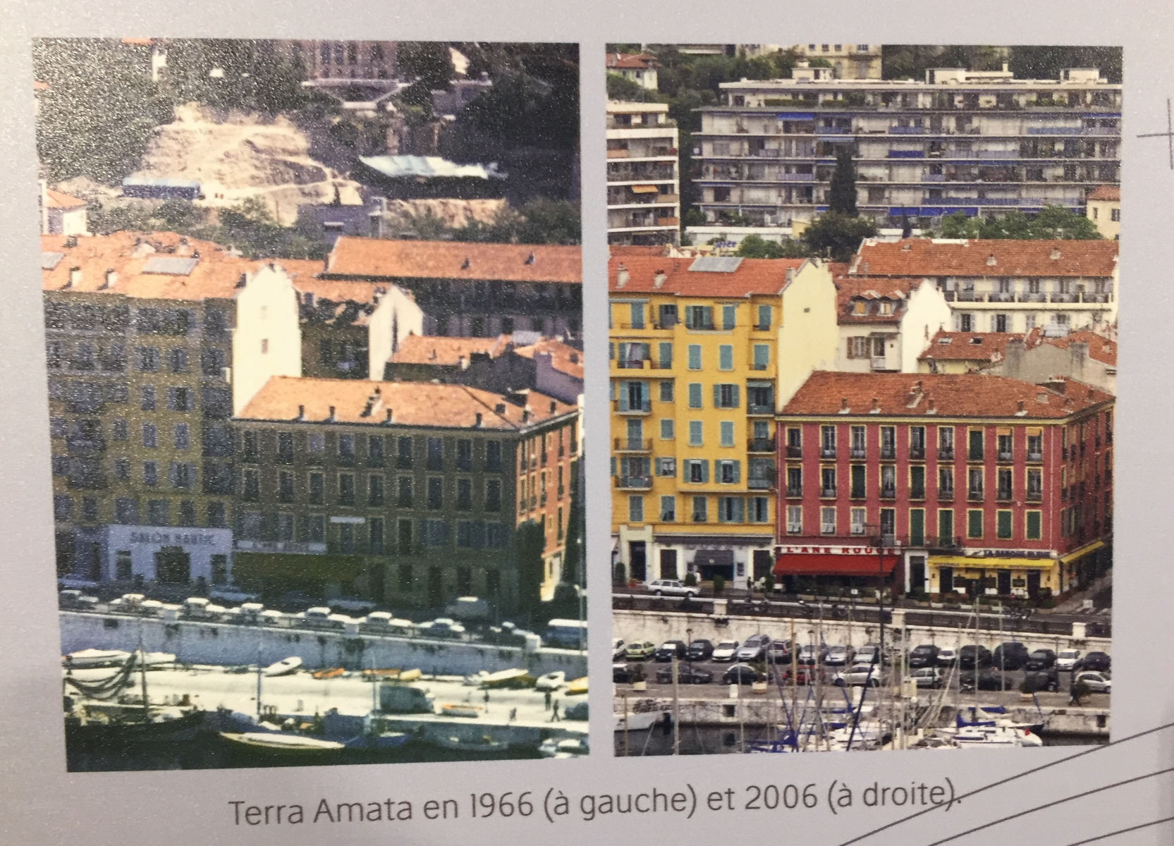 Visite du musée Terra Amata à Nice