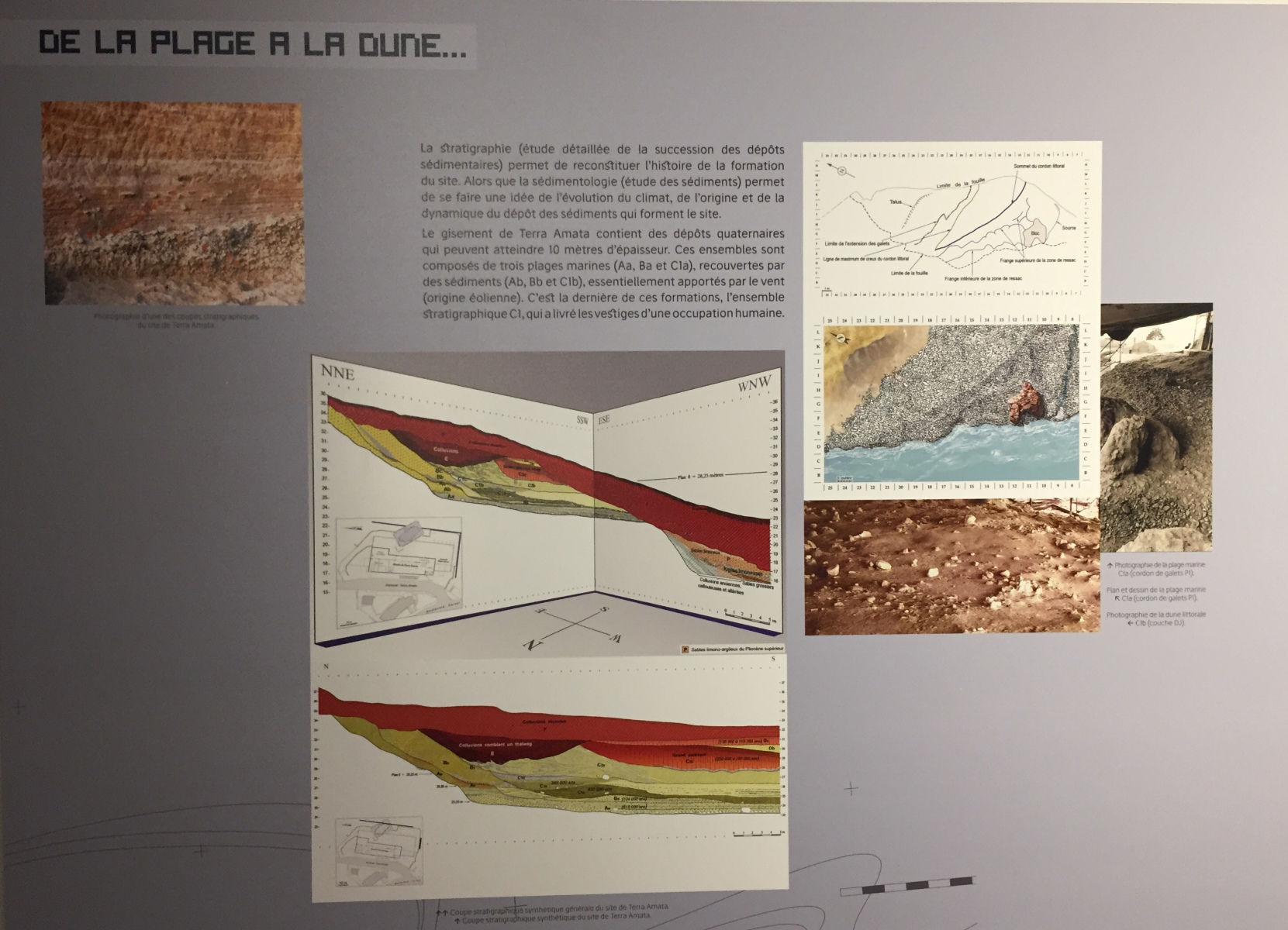 Visite du musée Terra Amata à Nice