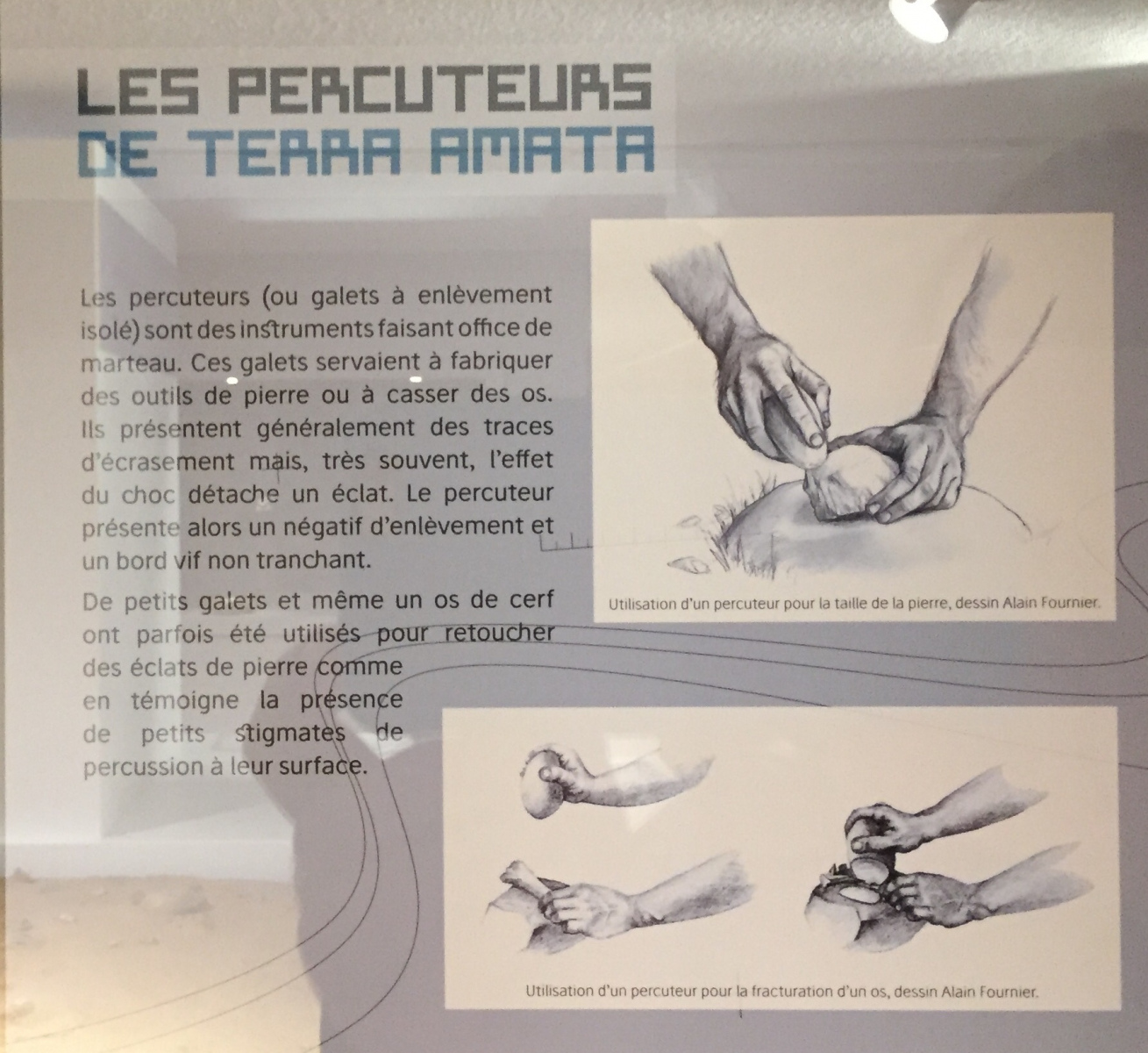 Visite du musée Terra Amata à Nice