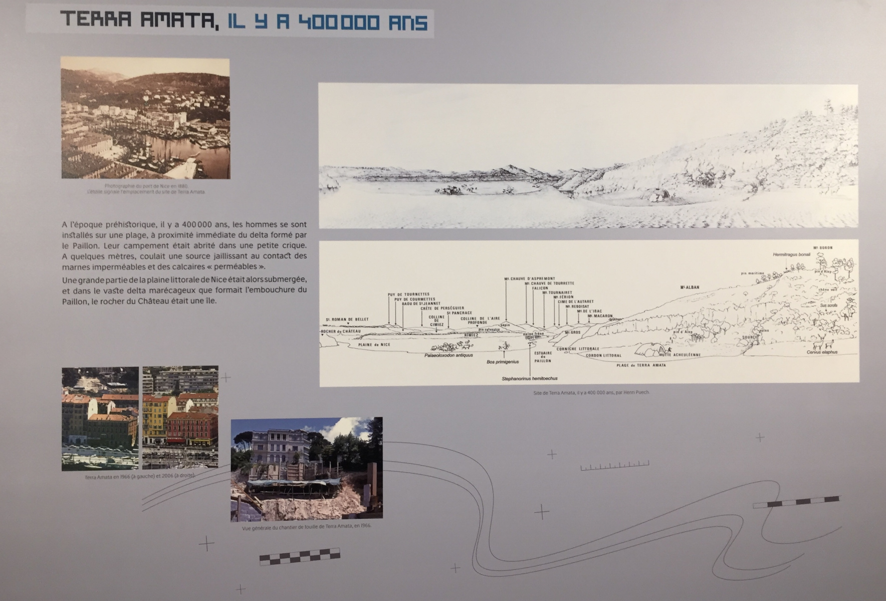 Visite du musée Terra Amata à Nice