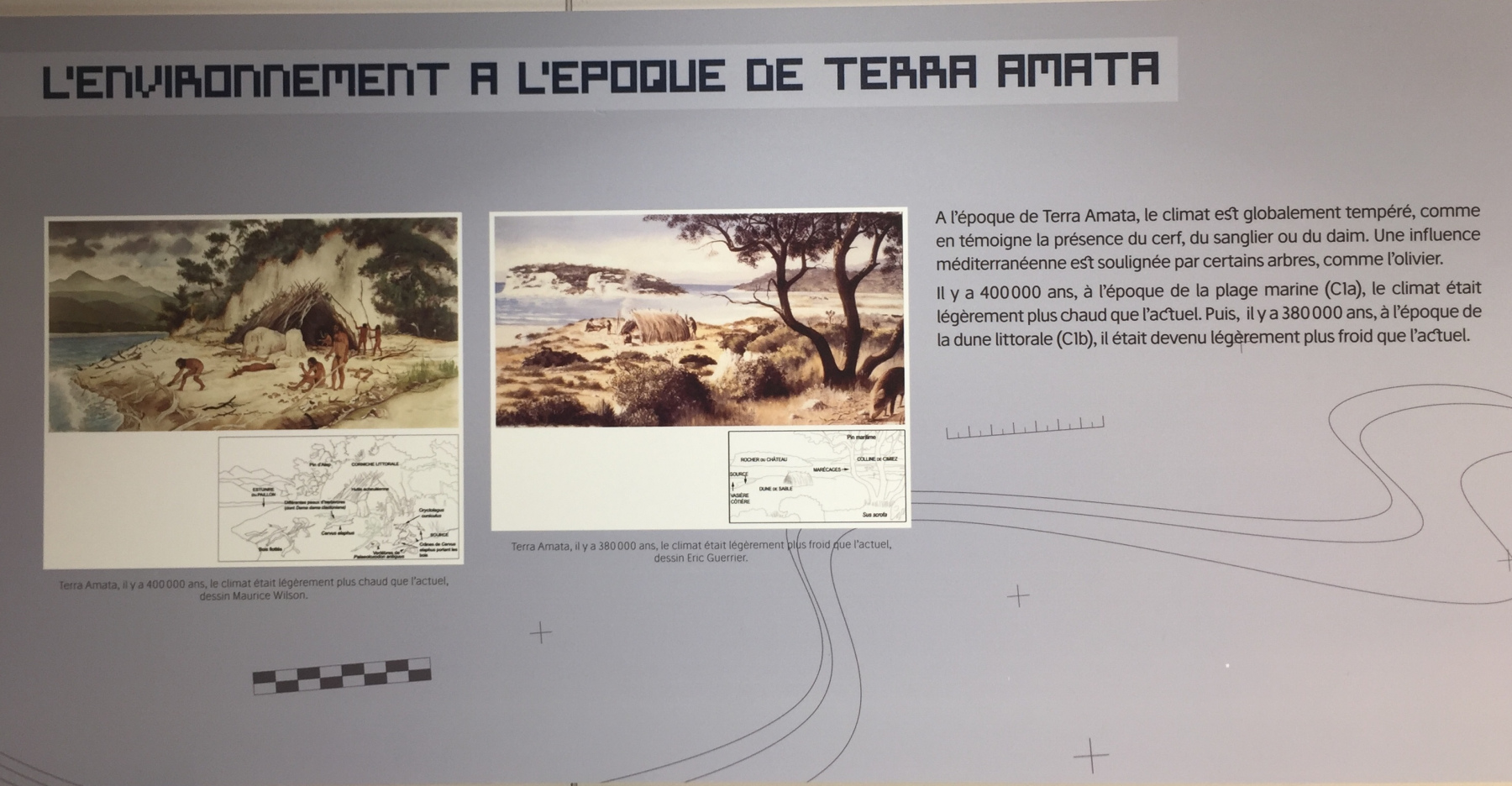 Visite du musée Terra Amata à Nice