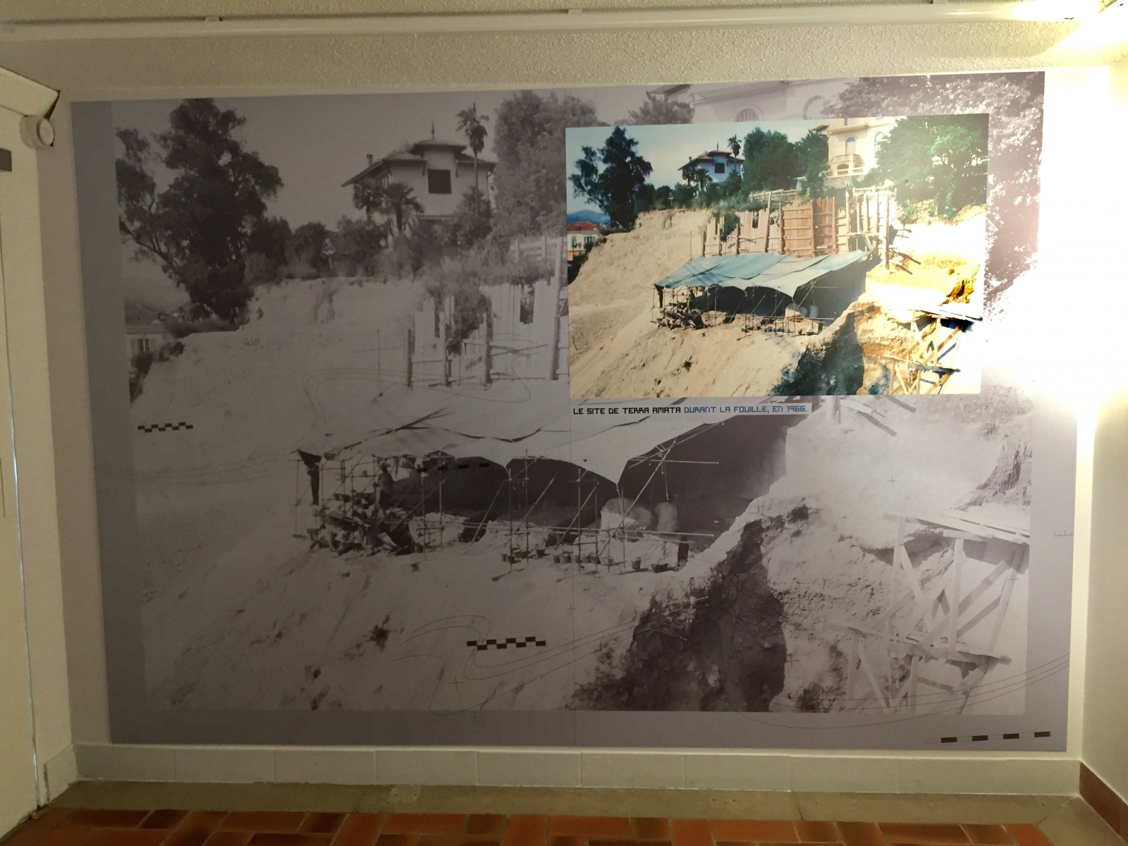 Visite du musée Terra Amata à Nice