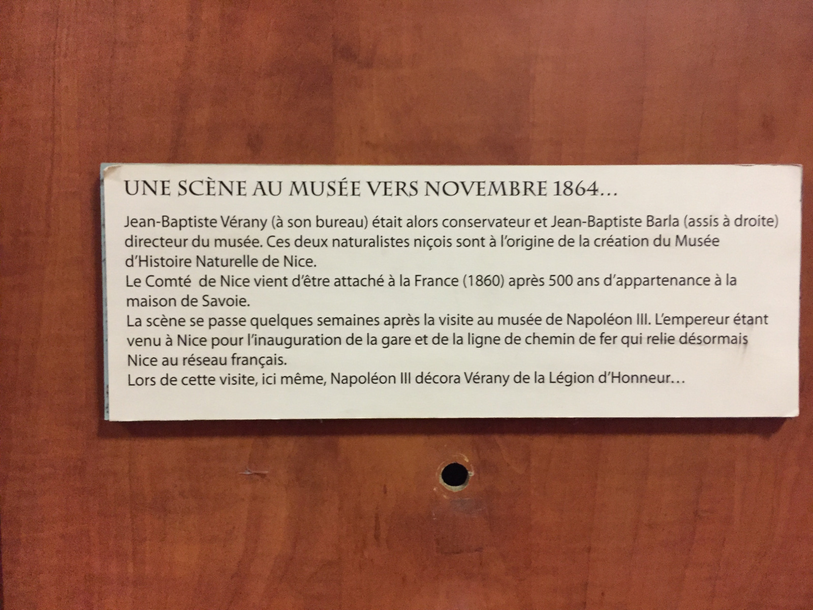 Visite du musée d'histoire naturelle de Nice