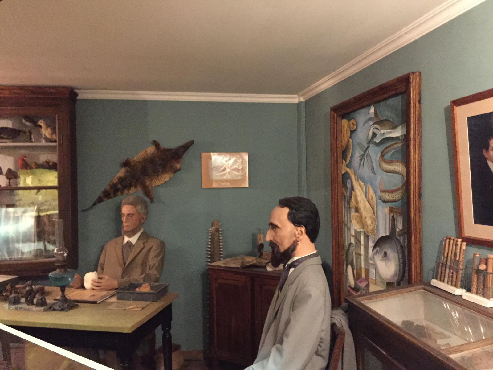 Visite du musée d'histoire naturelle de Nice