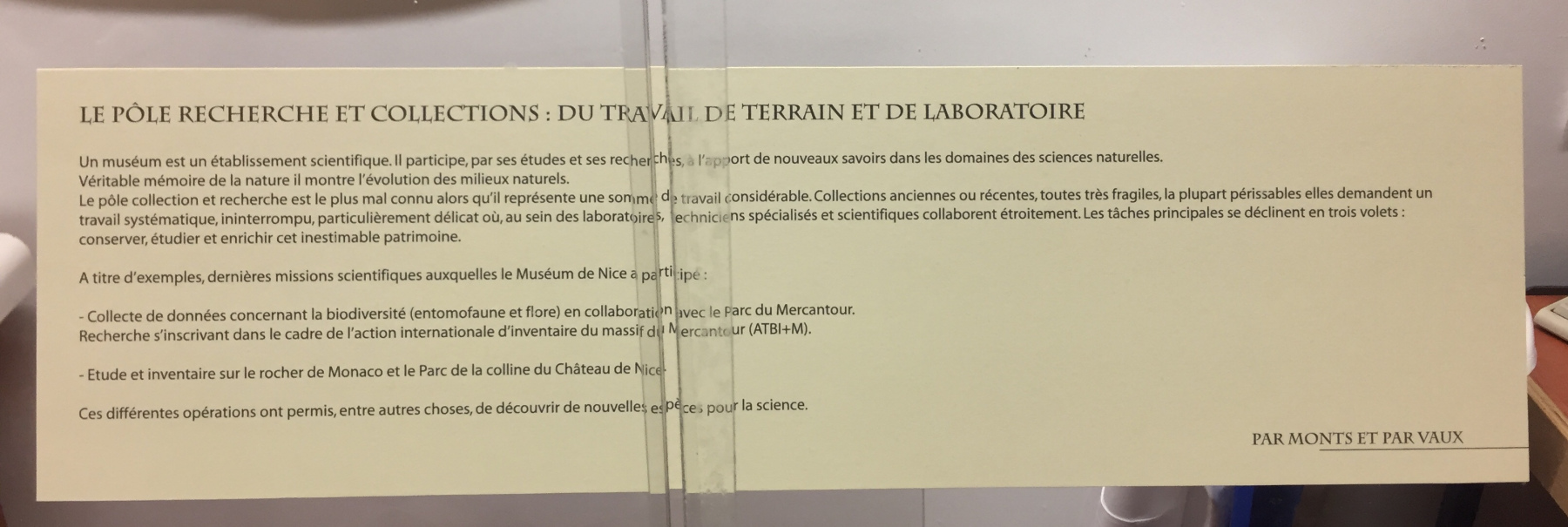 Visite du musée d'histoire naturelle de Nice