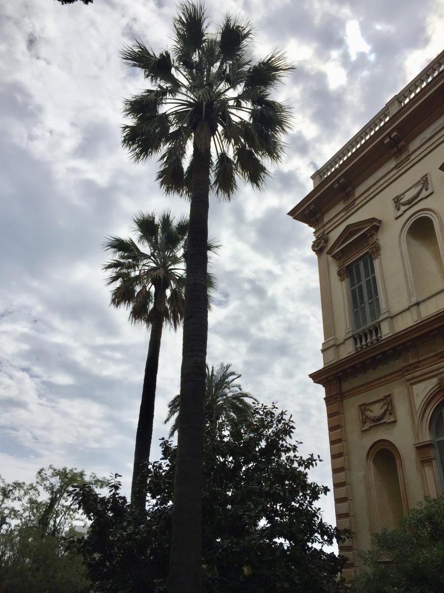 Visite du musée des Beaux Arts de Nice.