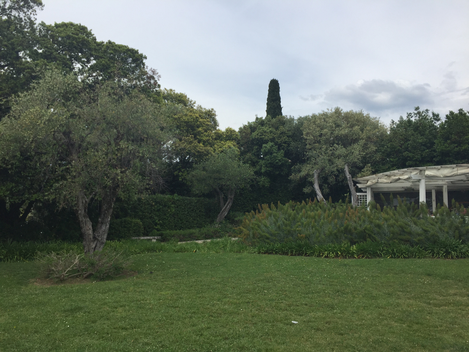 Visite du musée national Marc Chagall de Nice