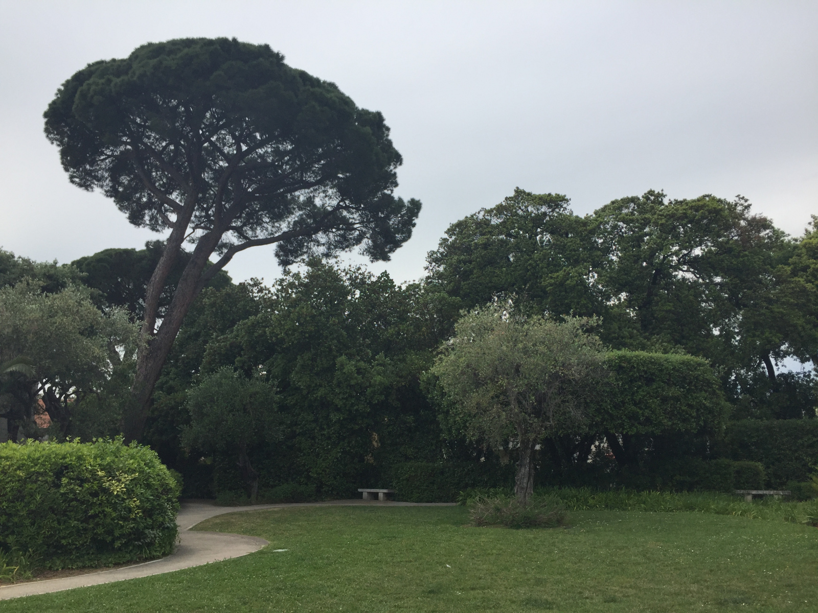 Visite du musée national Marc Chagall de Nice