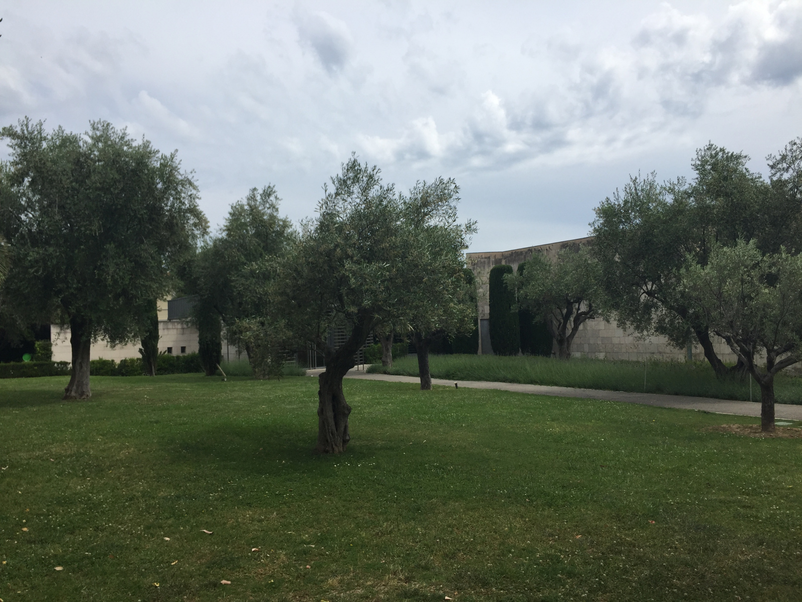 Visite du musée national Marc Chagall de Nice