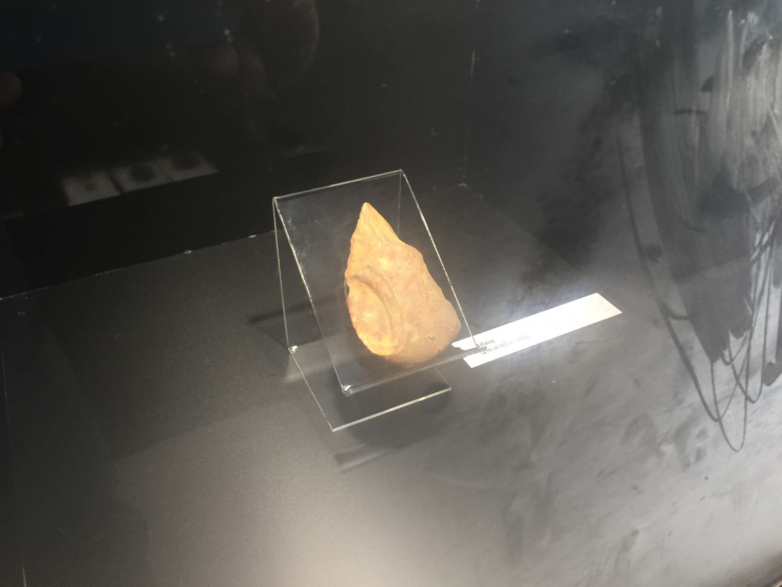 Visite de la grotte du Lazaret de Nice