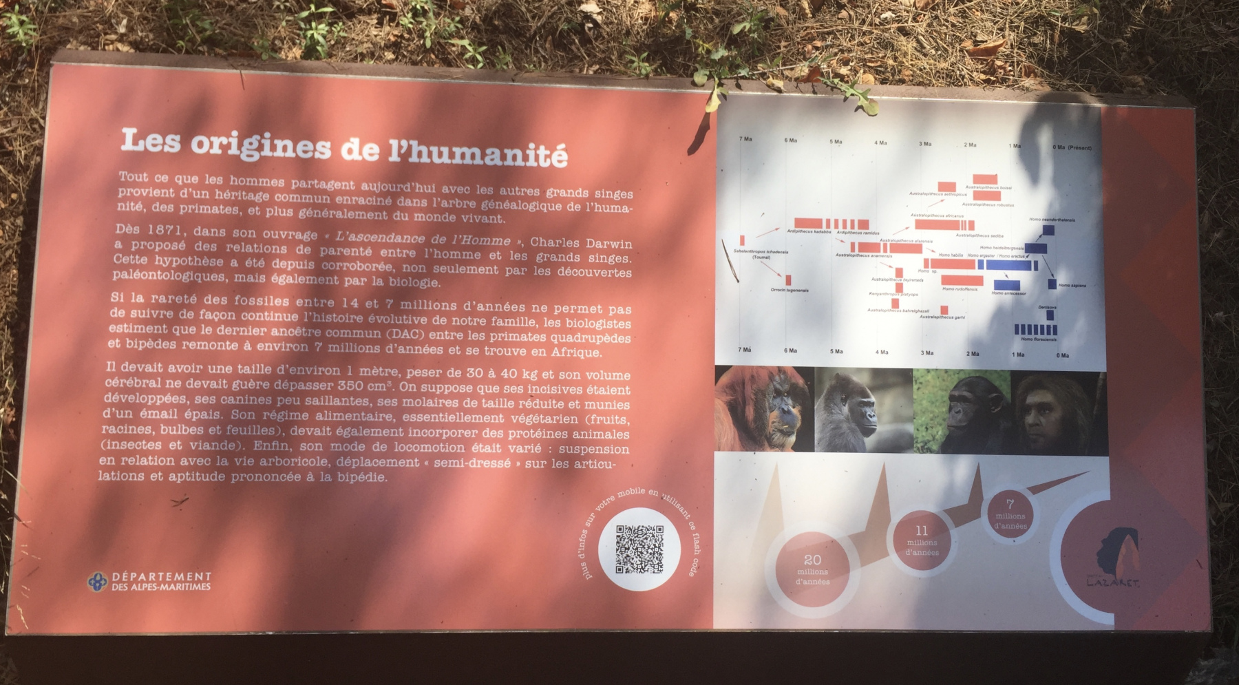 Visite de la grotte du Lazaret de Nice