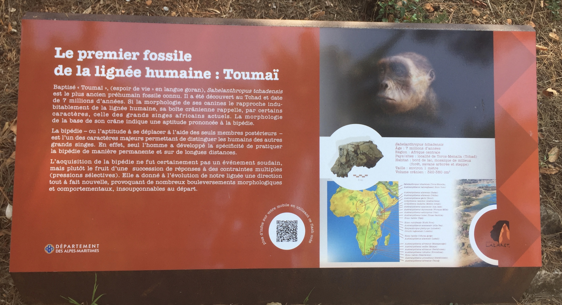 Visite de la grotte du Lazaret de Nice