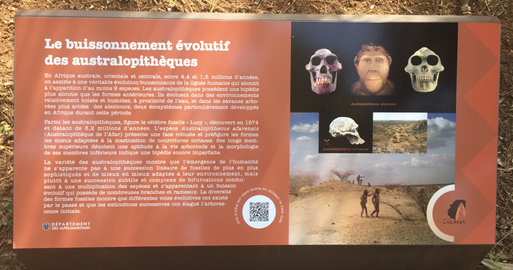 Visite de la grotte du Lazaret de Nice
