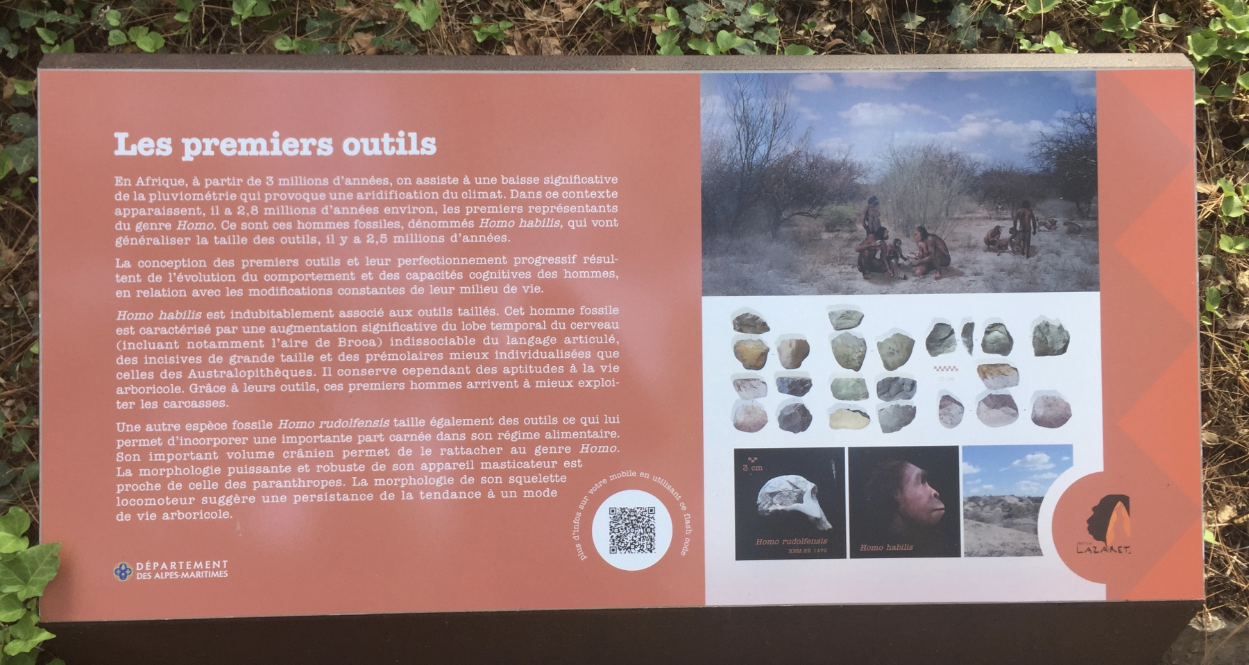 Visite de la grotte du Lazaret de Nice