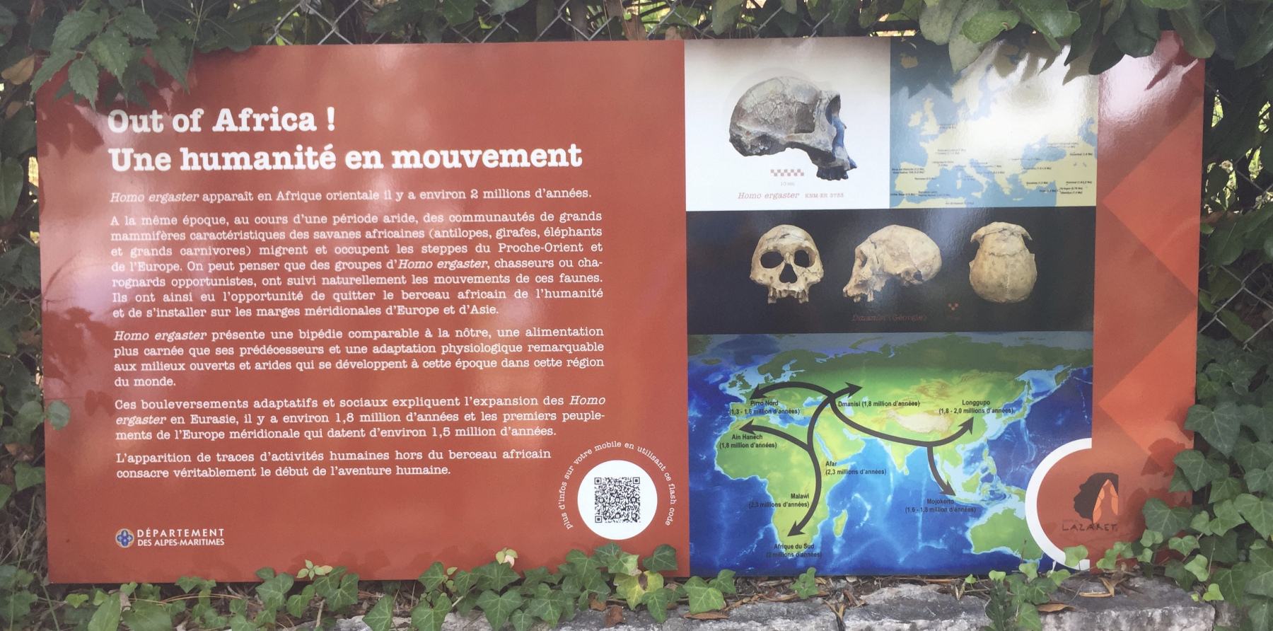 Visite de la grotte du Lazaret de Nice