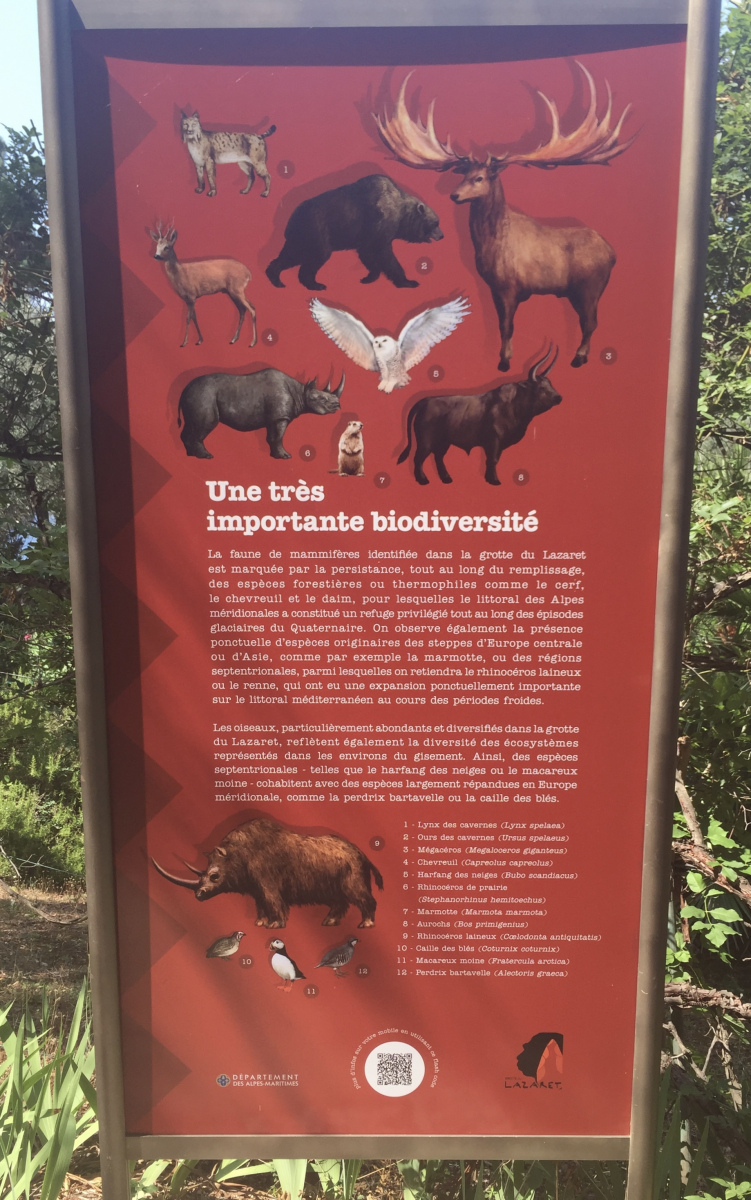 Visite de la grotte du Lazaret de Nice