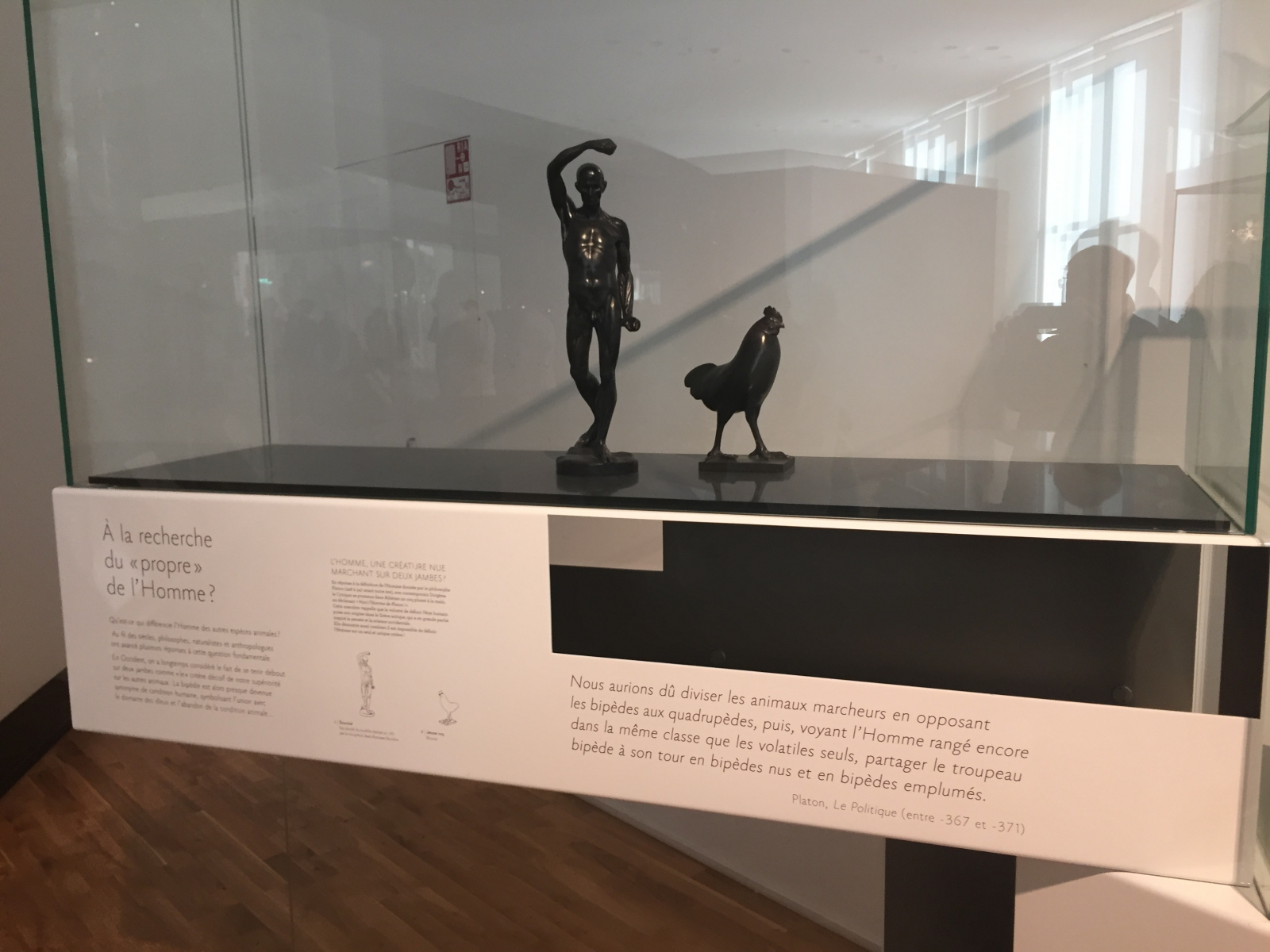 Visite du musée de l’homme