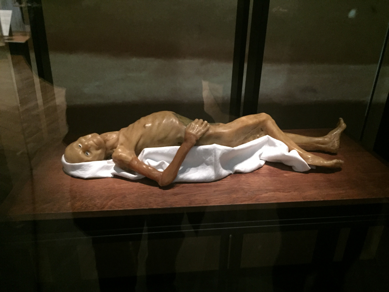 Visite du musée de l’homme