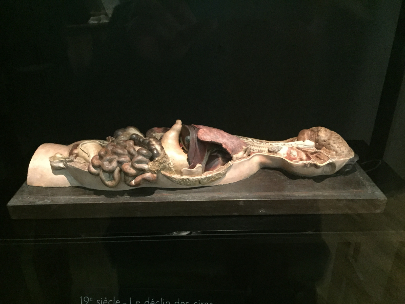 Visite du musée de l’homme