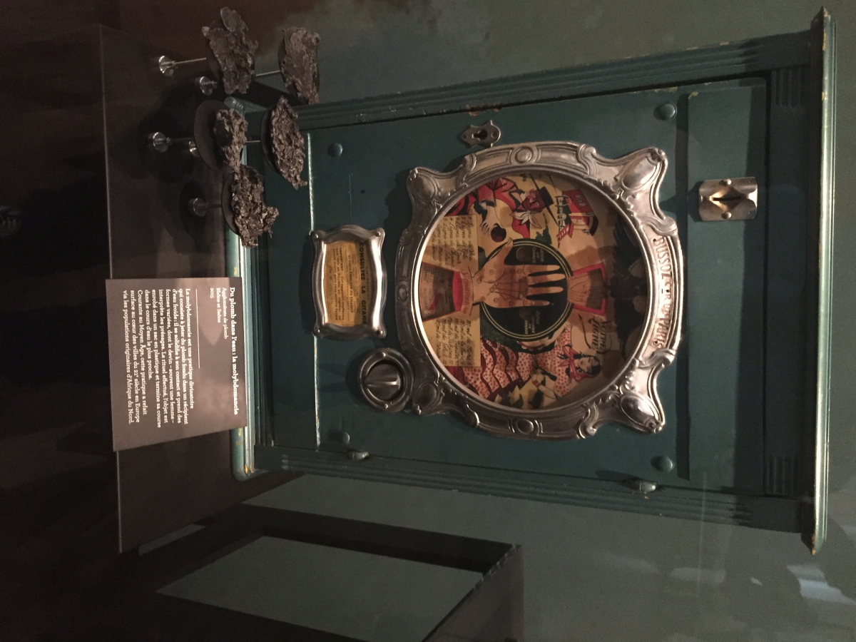 Visite du musée de l’homme