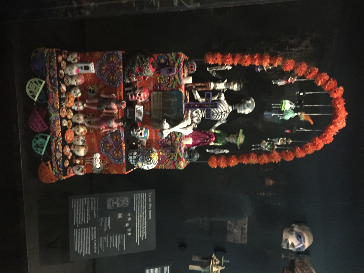Visite du musée de l’homme