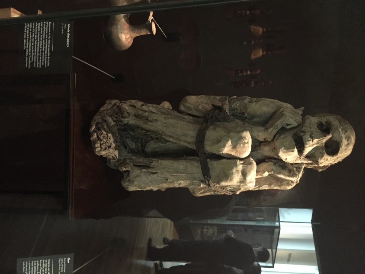 Visite du musée de l’homme