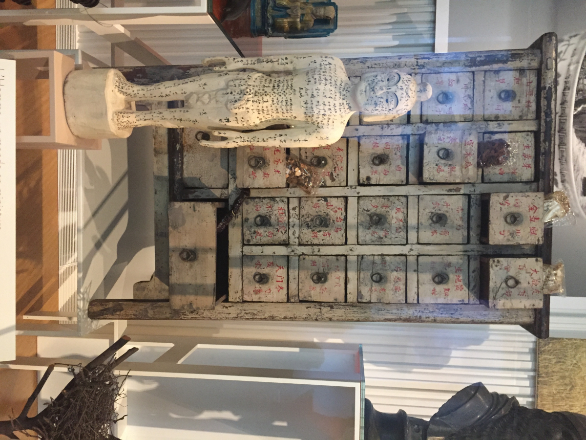 Visite du musée de l’homme