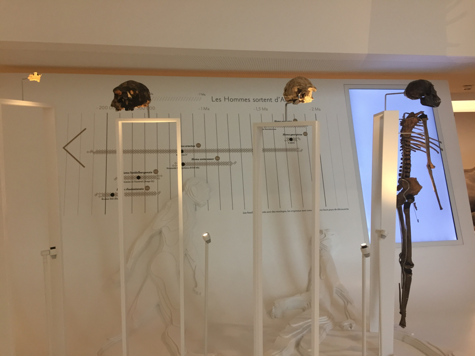 Visite du musée de l’homme