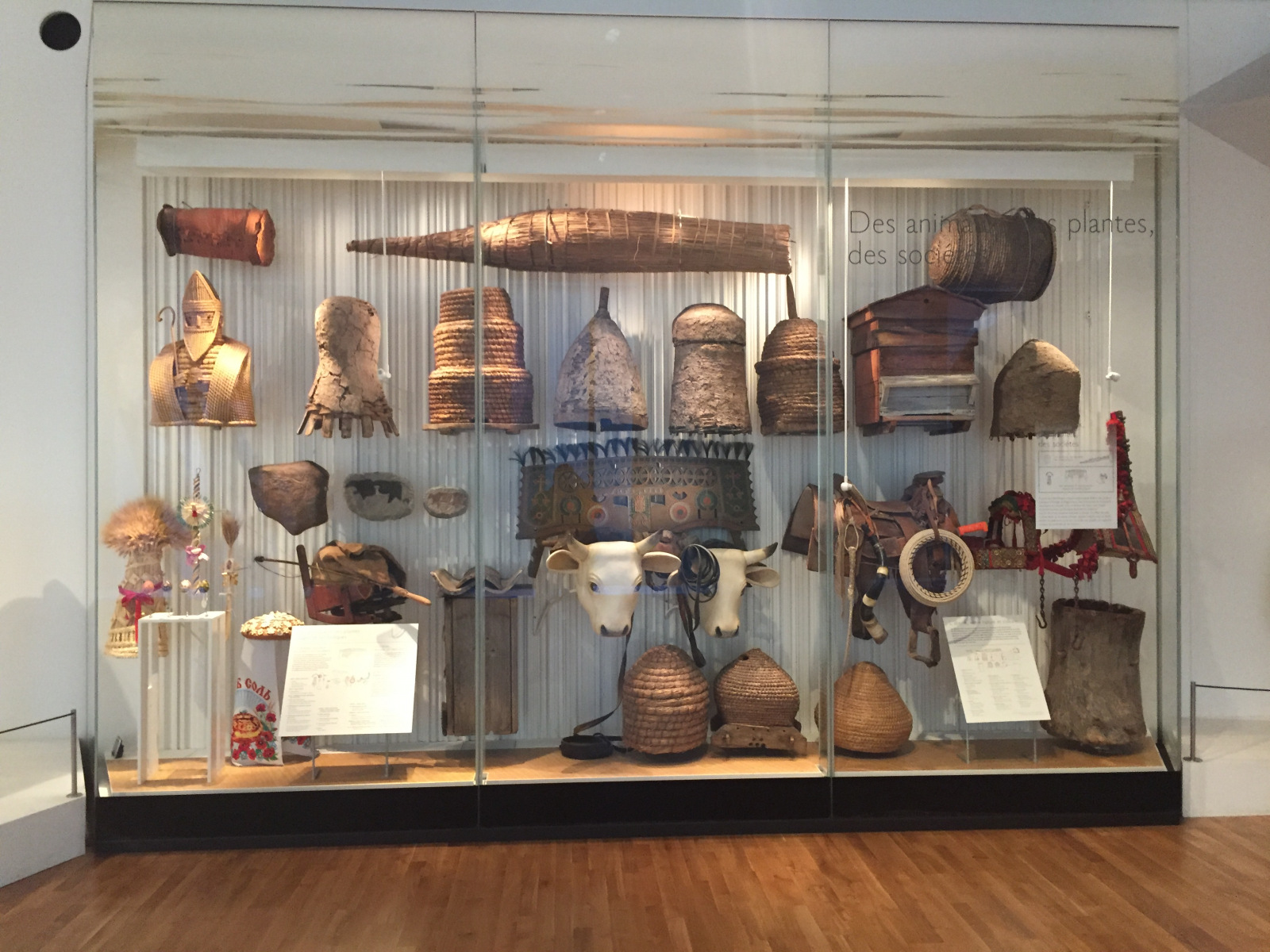 Visite du musée de l’homme