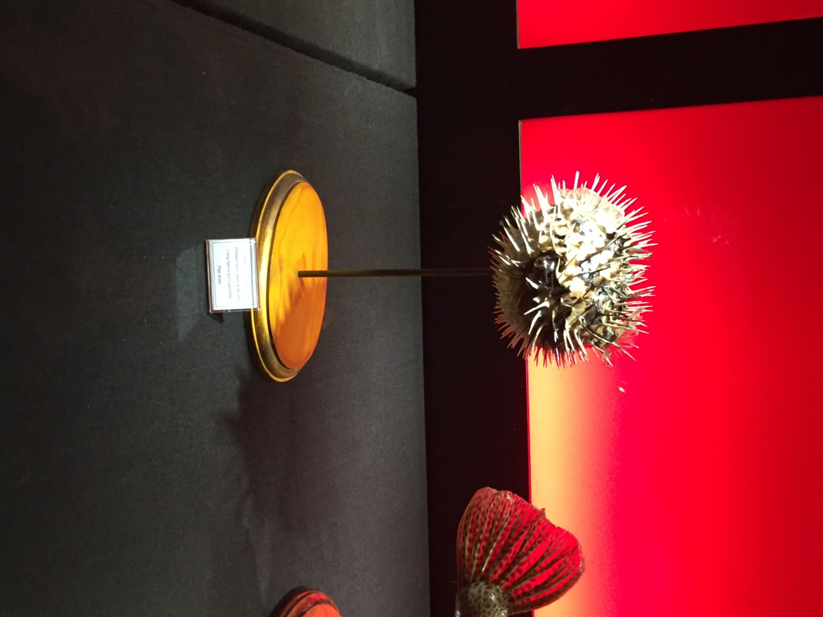 Visite de l’exposition Poison au Palais de la Découverte