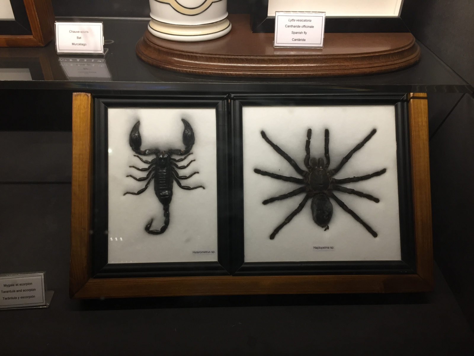 Visite de l’exposition Poison au Palais de la Découverte
