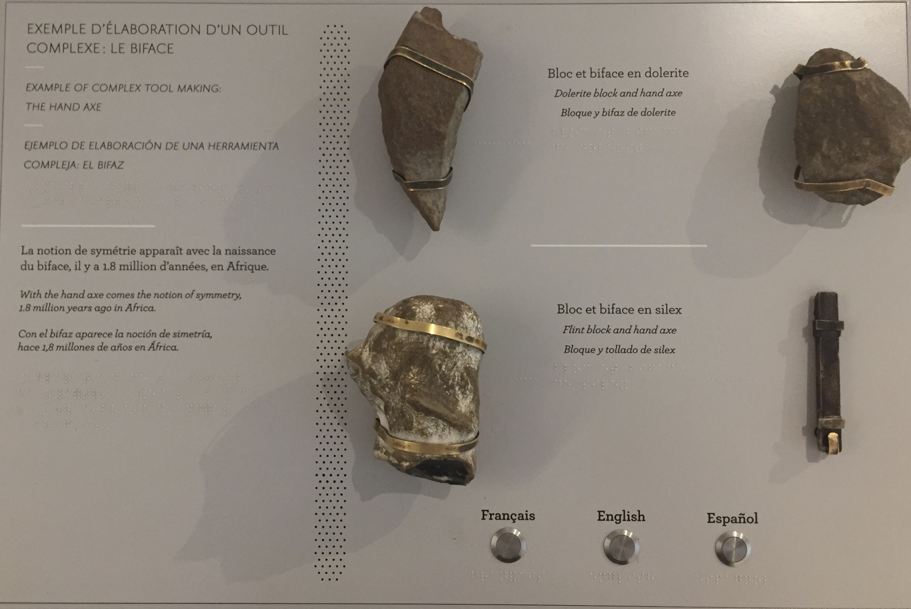 Visite du musée de l’homme