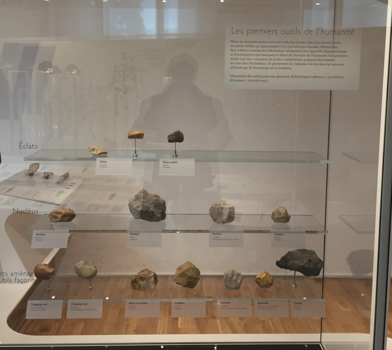 Visite du musée de l’homme