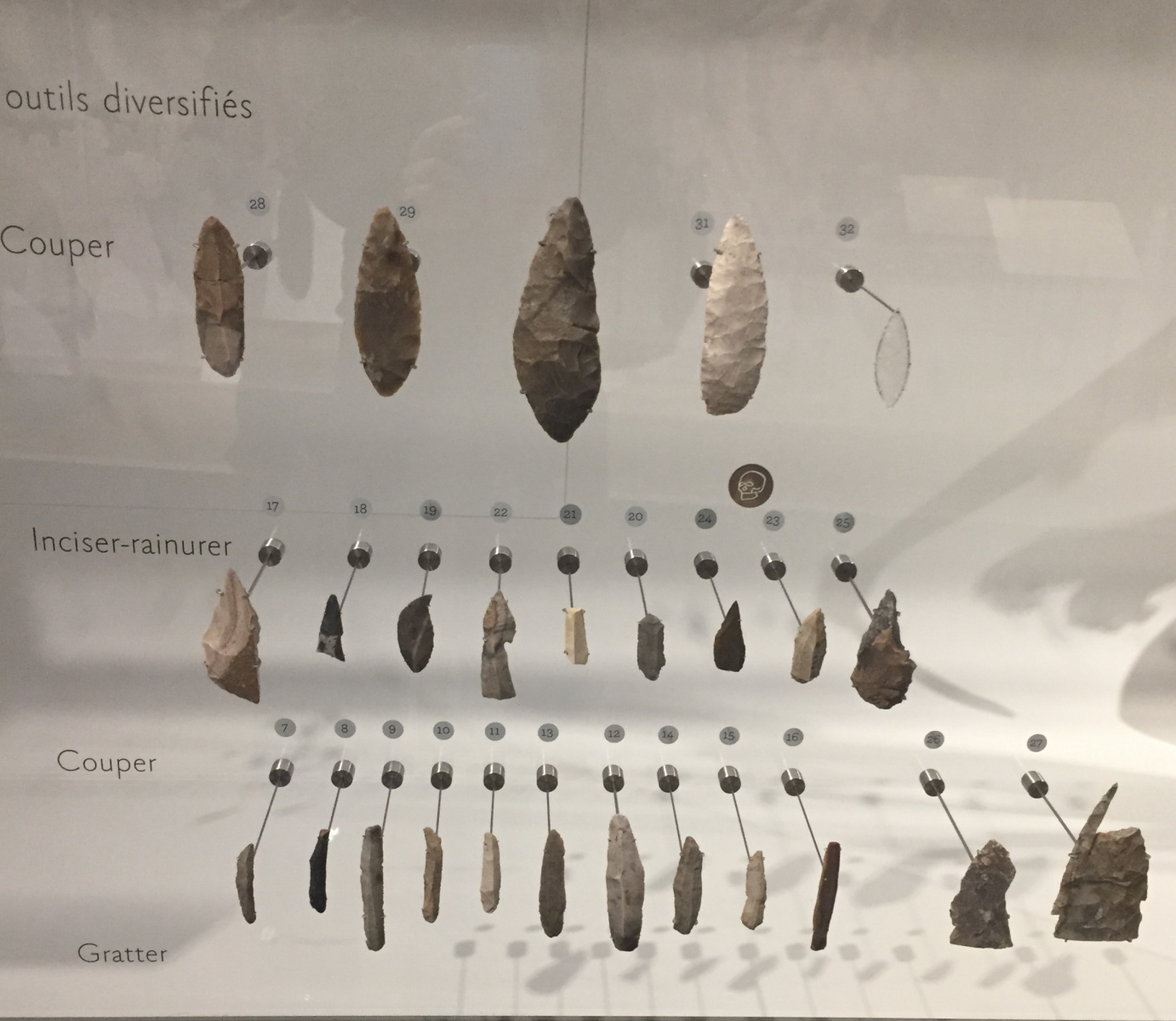 Visite du musée de l’homme