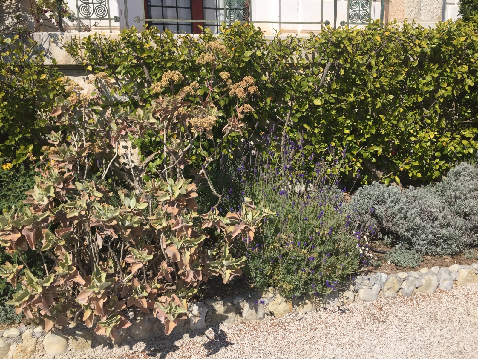Visite de la villa Kérylos à Beaulieu