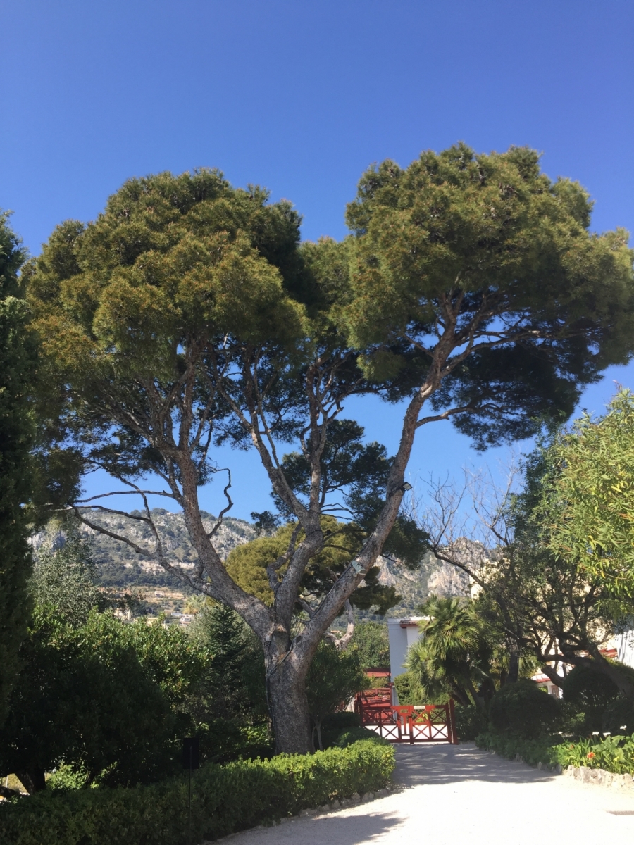 Visite de la villa Kérylos à Beaulieu
