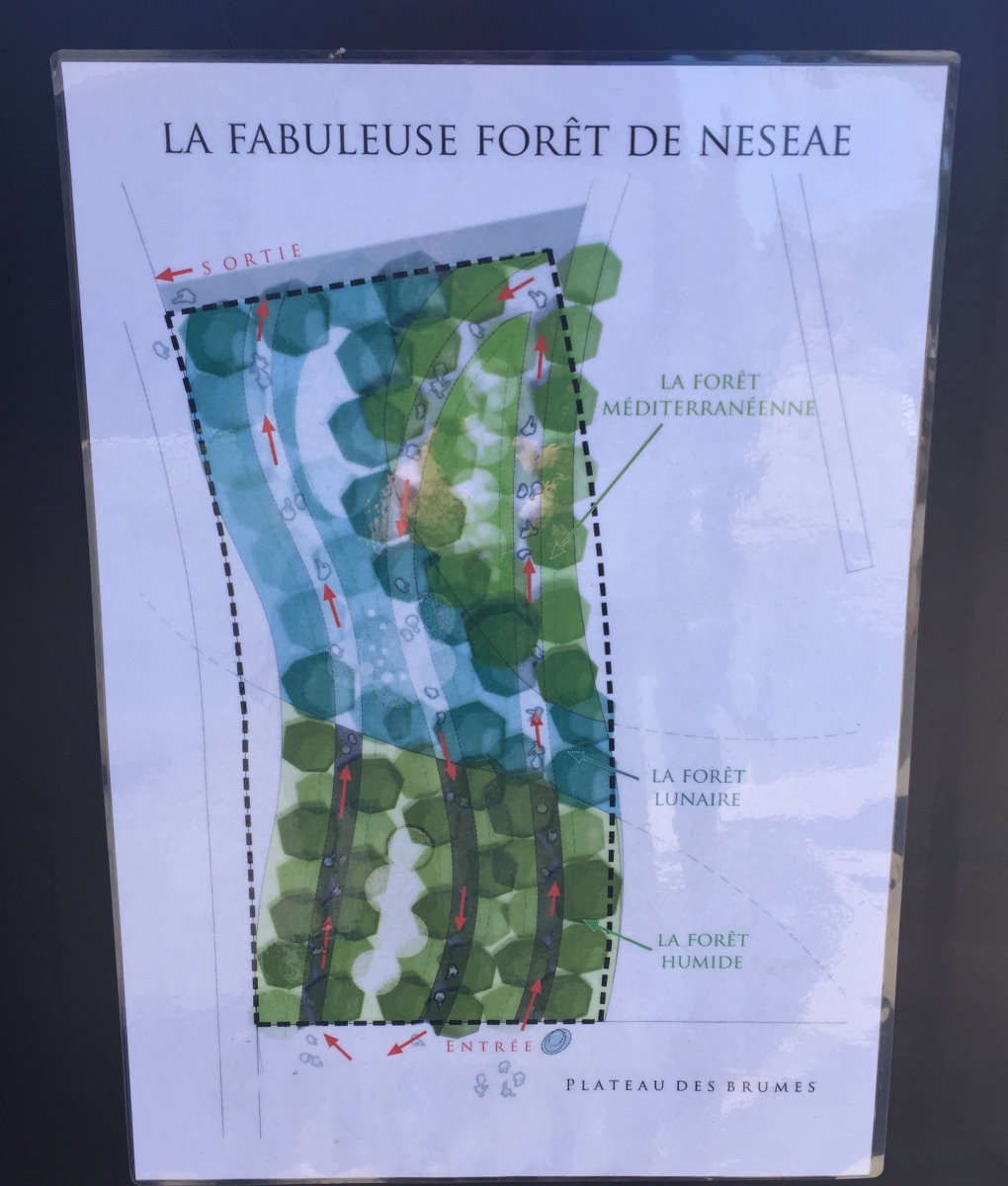 Festival des jardins Nice 2019