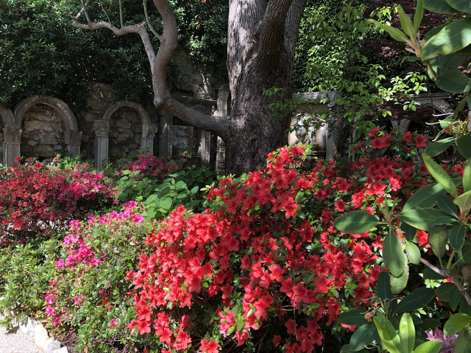 Visite de la villa Ephrussi de Rothschild