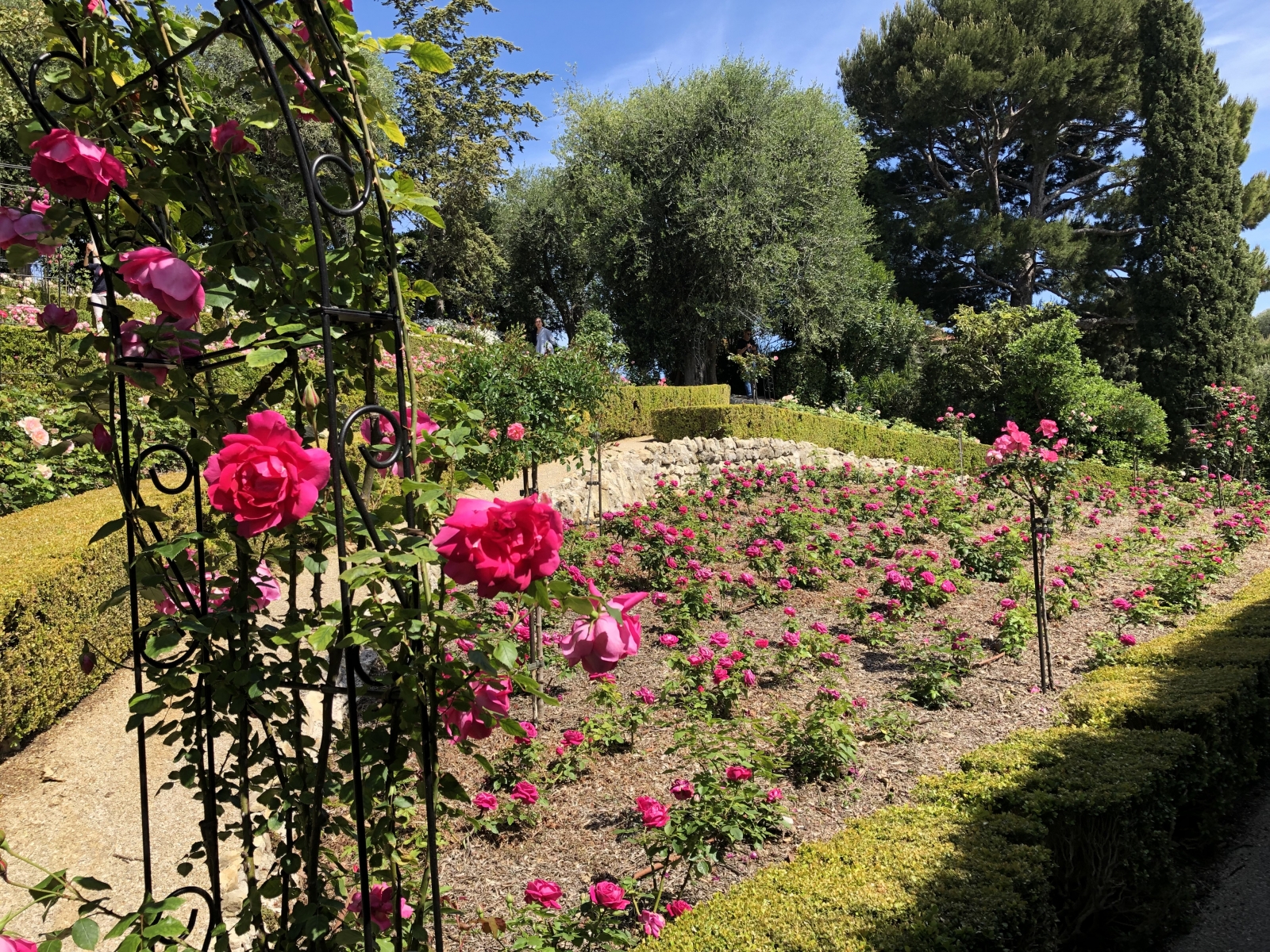 Visite de la villa Ephrussi de Rothschild