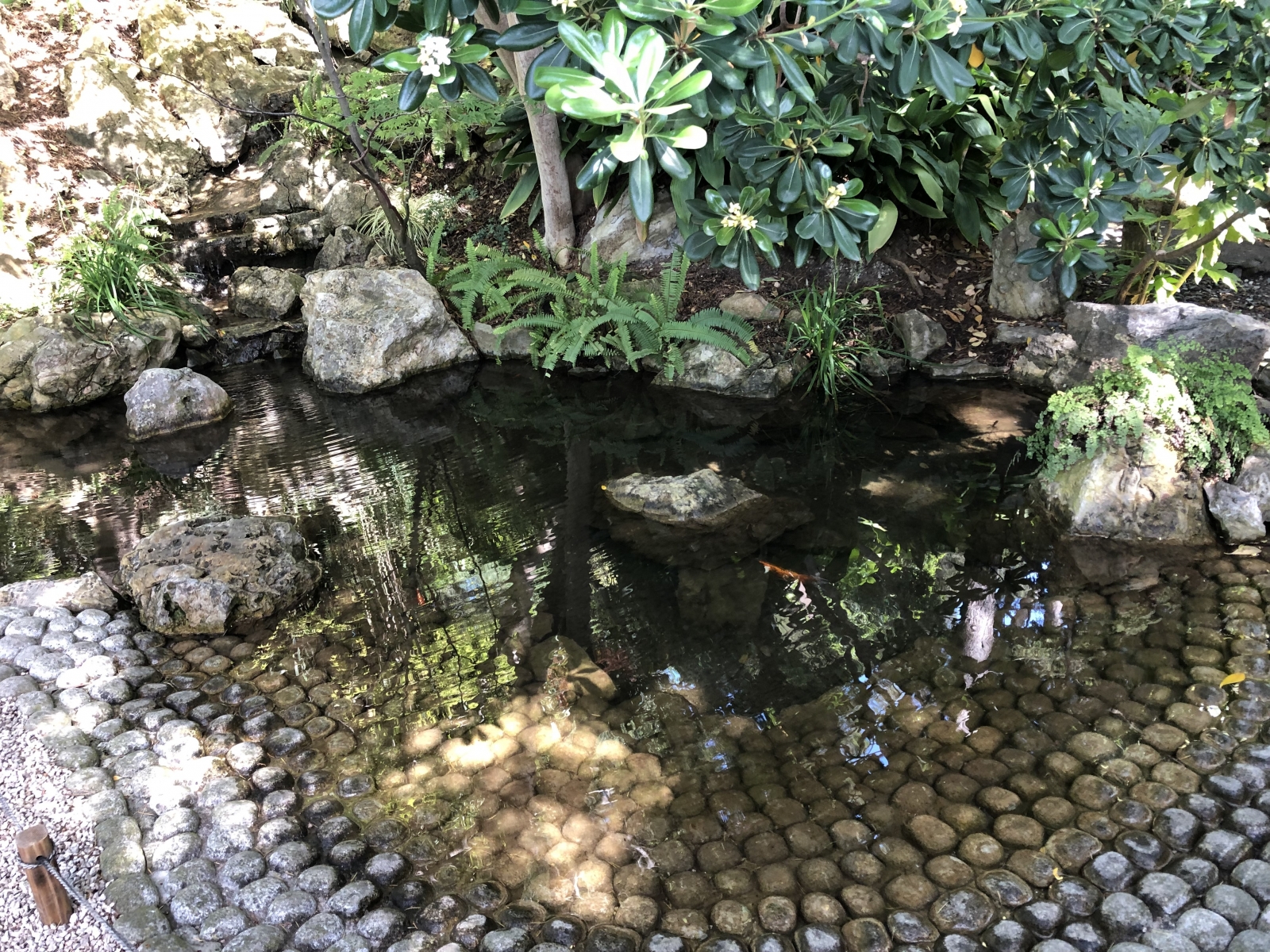 Visite de la villa Ephrussi de Rothschild
